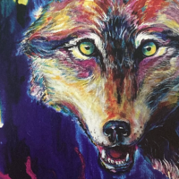 "Wolf 2" Signed Open Edition Print by Chris Wakefield - Animal Portrait Series "Wolf 2" Signed Open Edition Print by Chris Wakefield - Animal Portrait Series